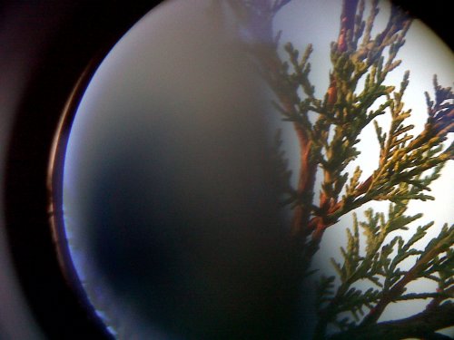 Image courtesy of The Thrusting Sensations